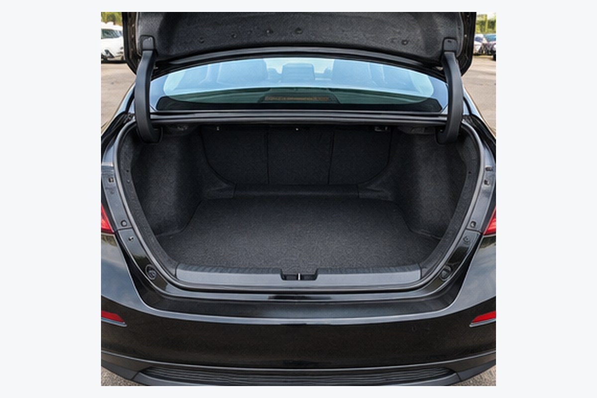 Cargo area