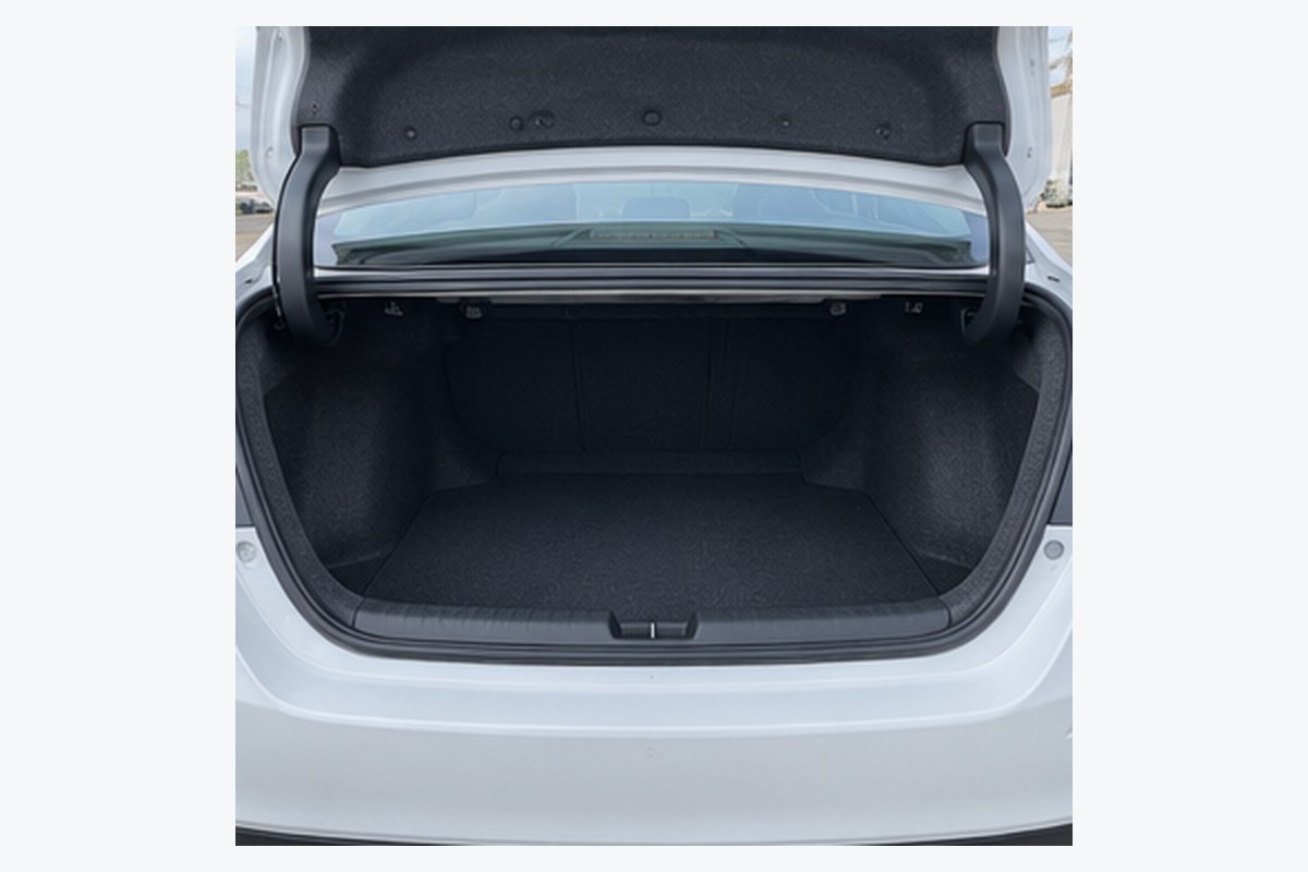 Cargo area