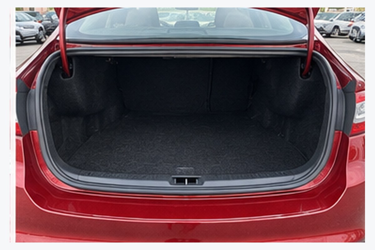 Cargo area
