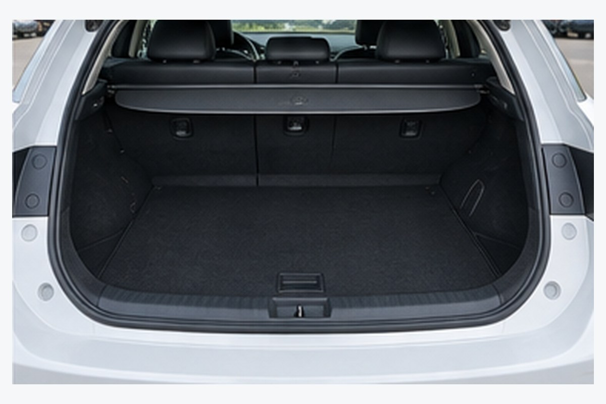 Cargo area
