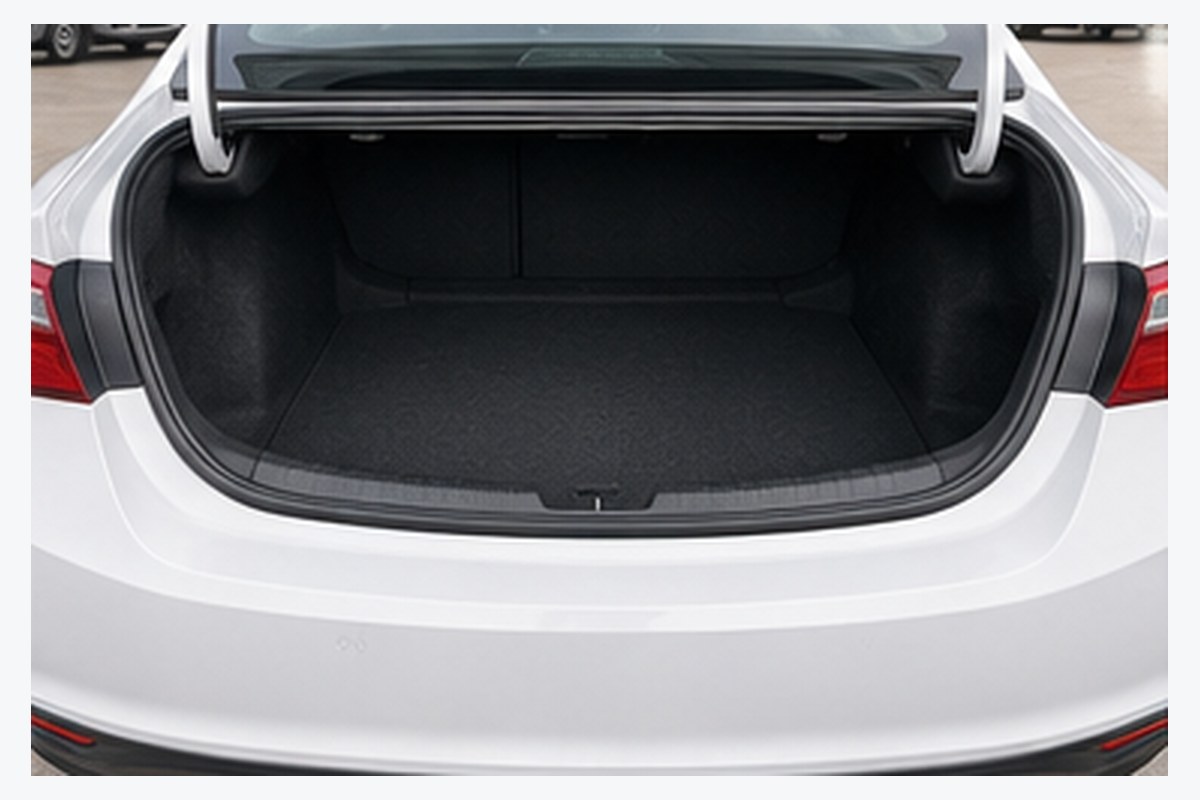 Cargo area